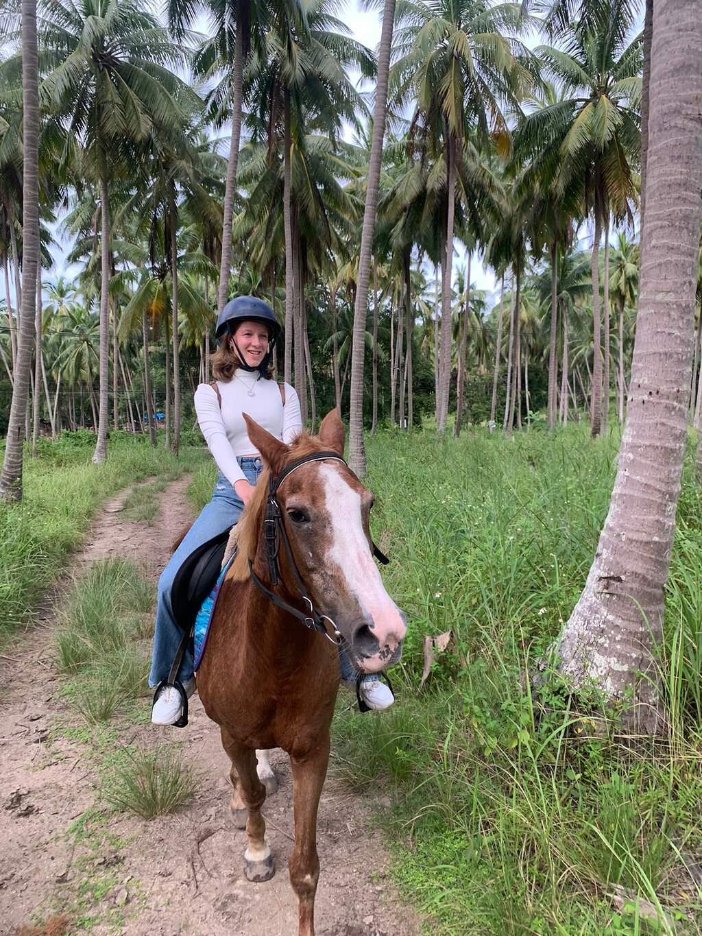 horse riding holiday koa samoi
